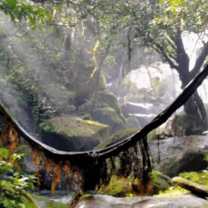Susung Waterfall & Kampung Sting Trekking