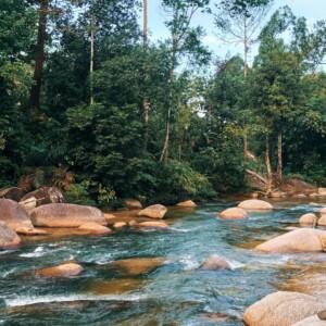 Bentong and Janda Baik Wellness Retreat Day Tour