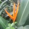 KL City Hike Tugu Trails - Image 16