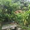 KL City Hike Tugu Trails - Image 17