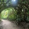 KL City Hike Tugu Trails - Image 13