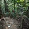KL City Hike Tugu Trails - Image 12