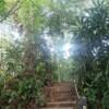 KL City Hike Tugu Trails - Image 8