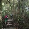 KL City Hike Tugu Trails - Image 7