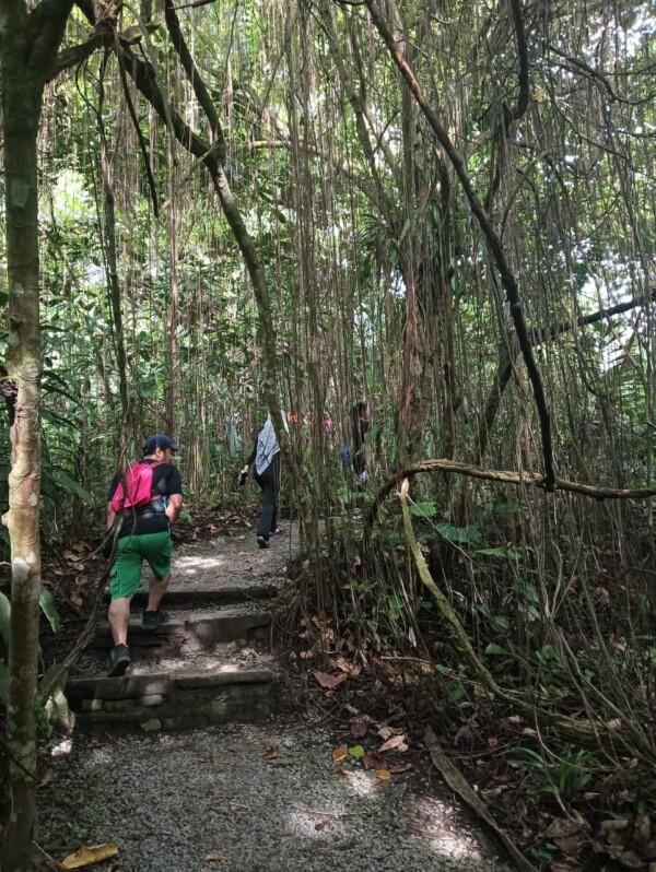 KL City Hike Tugu Trails