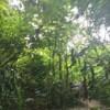 KL City Hike Tugu Trails - Image 5