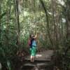 KL City Hike Tugu Trails - Image 2