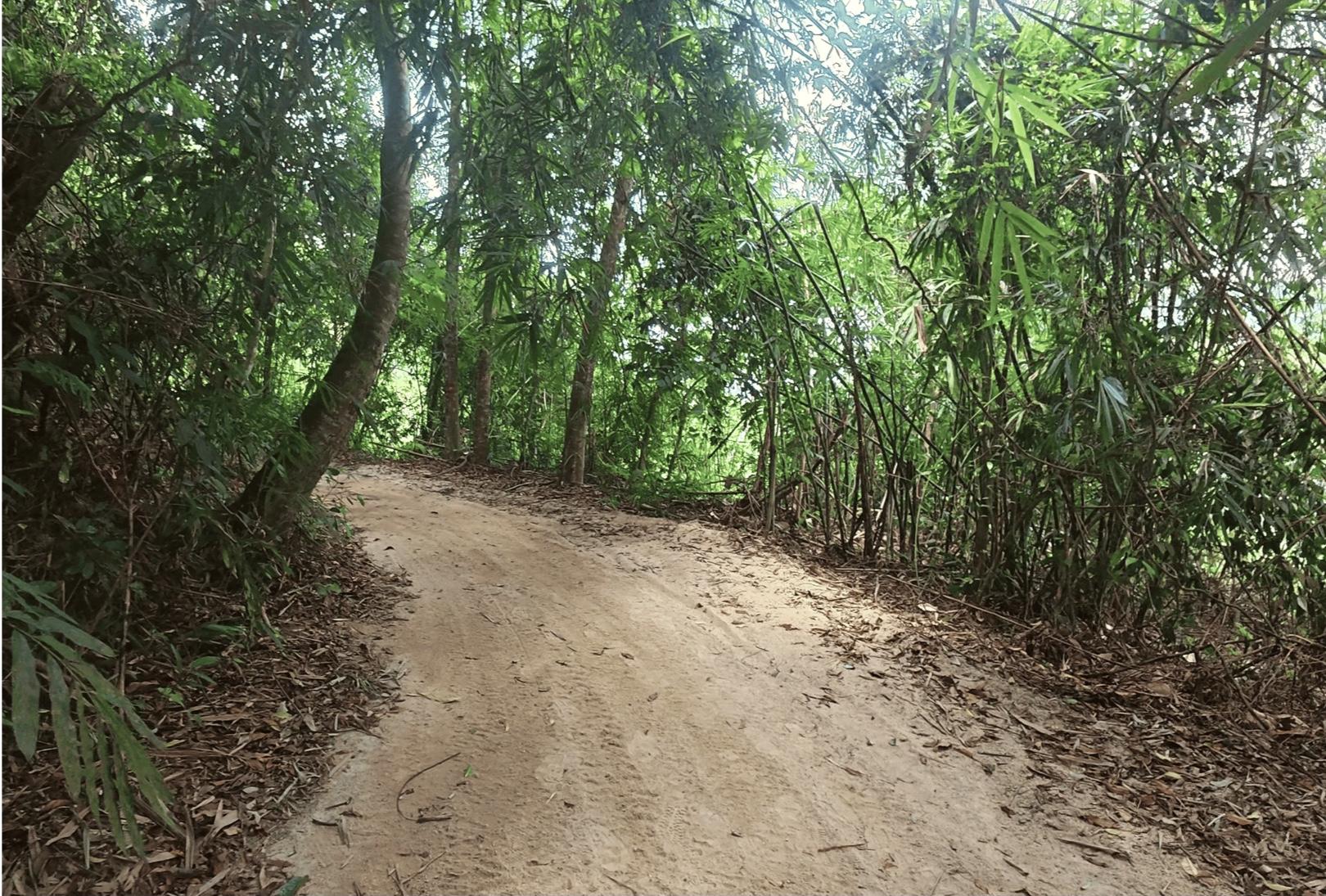 Kemensah Waterfalls - Image 2