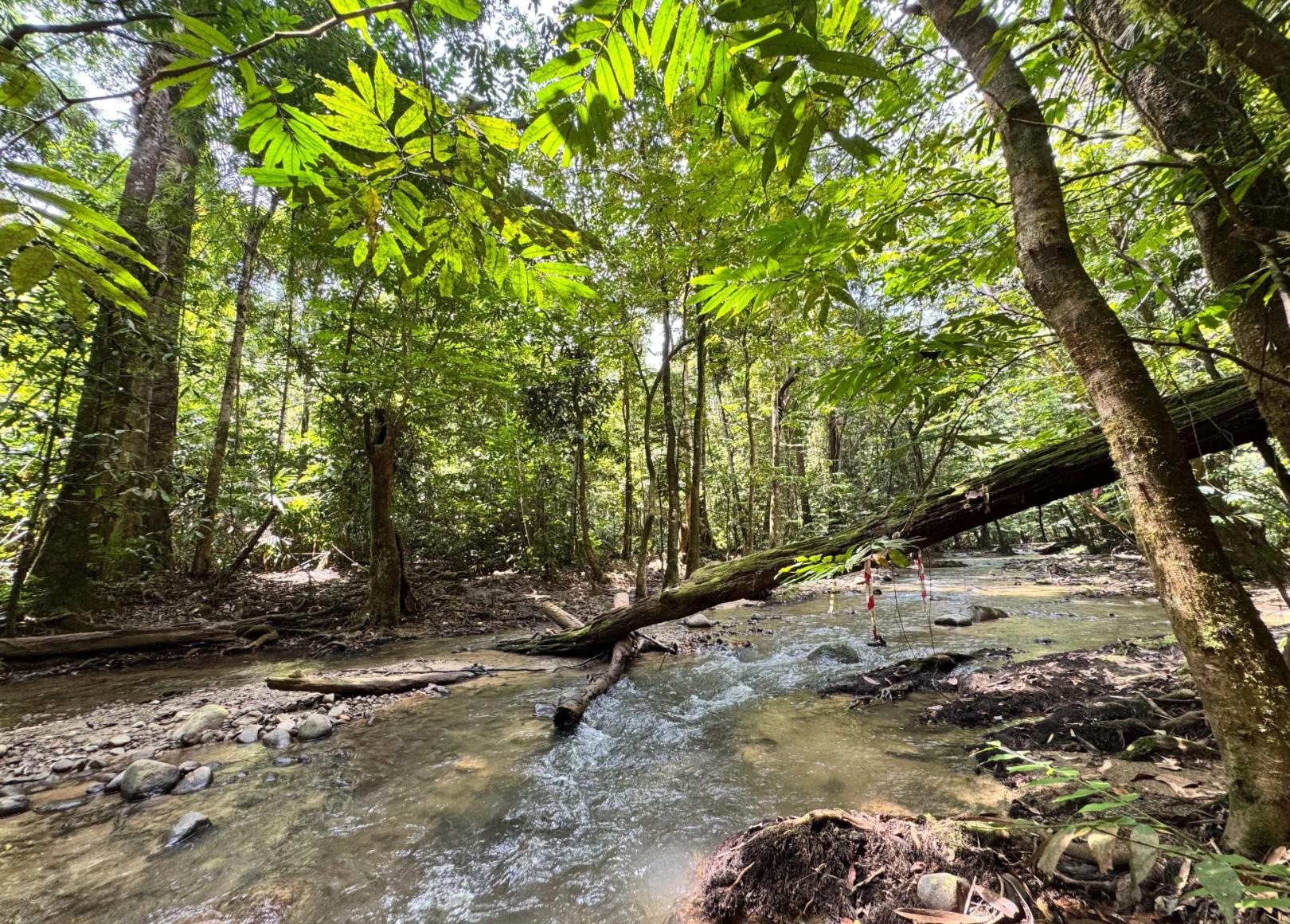 Lubuk Tedung - Image 2