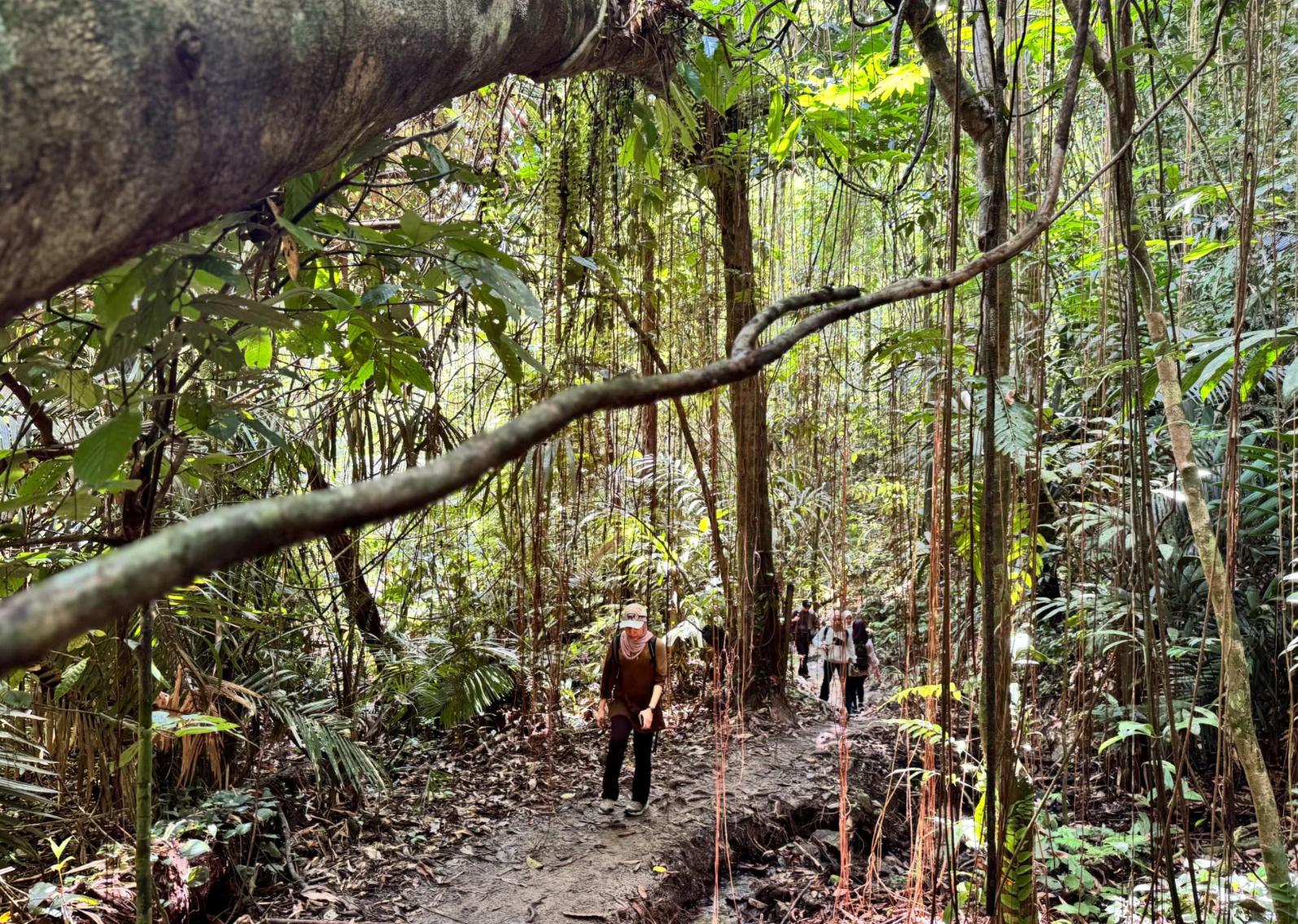 Lubuk Tedung - Image 4