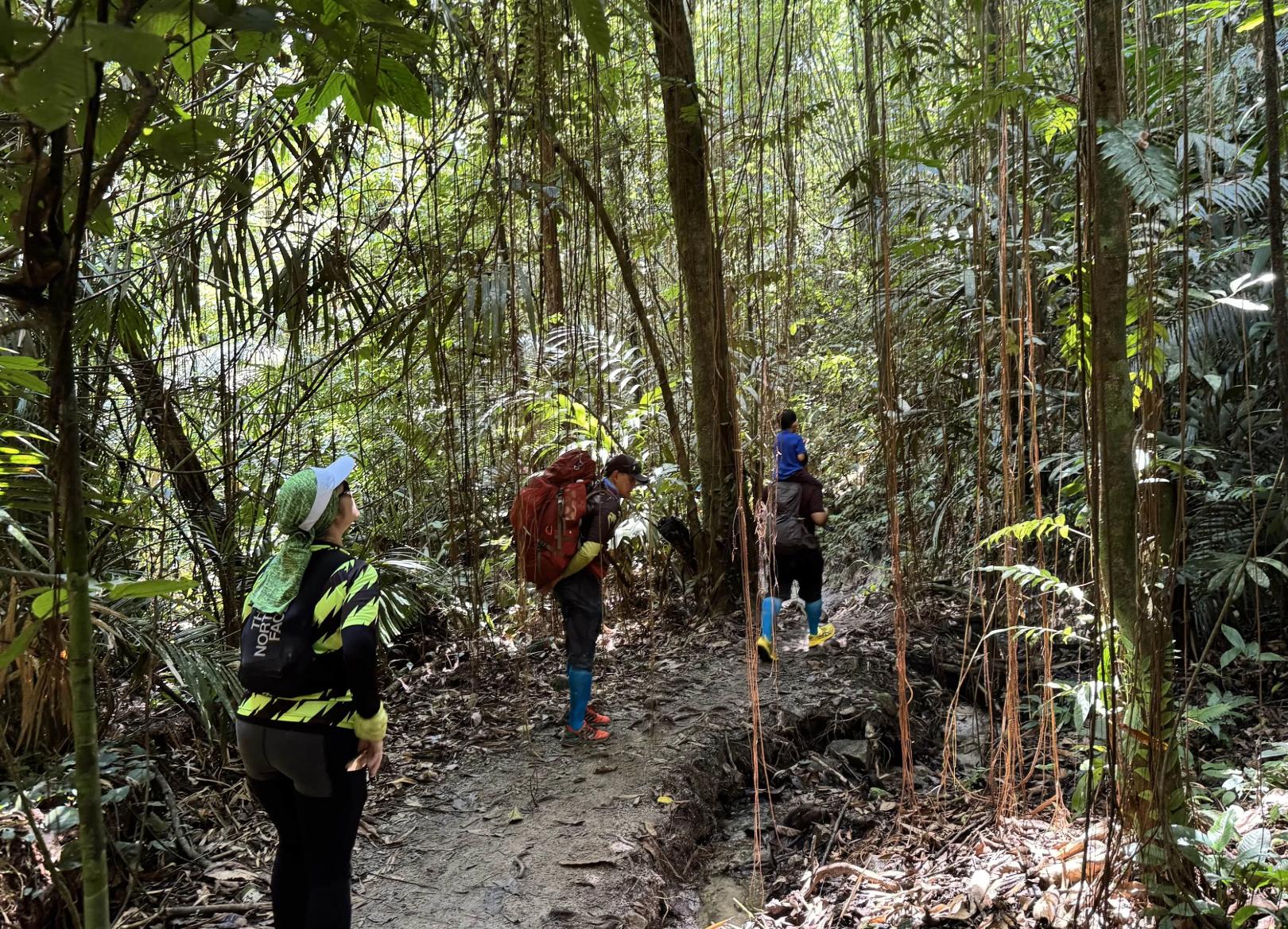 Lubuk Tedung - Image 5