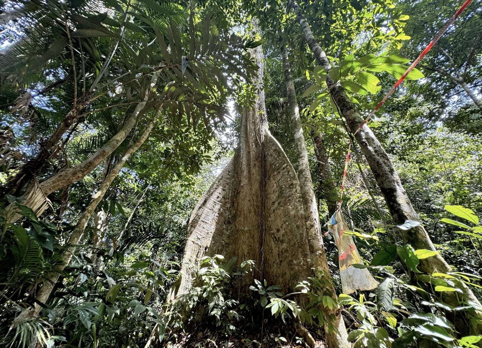 Lubuk Tedung - Image 6