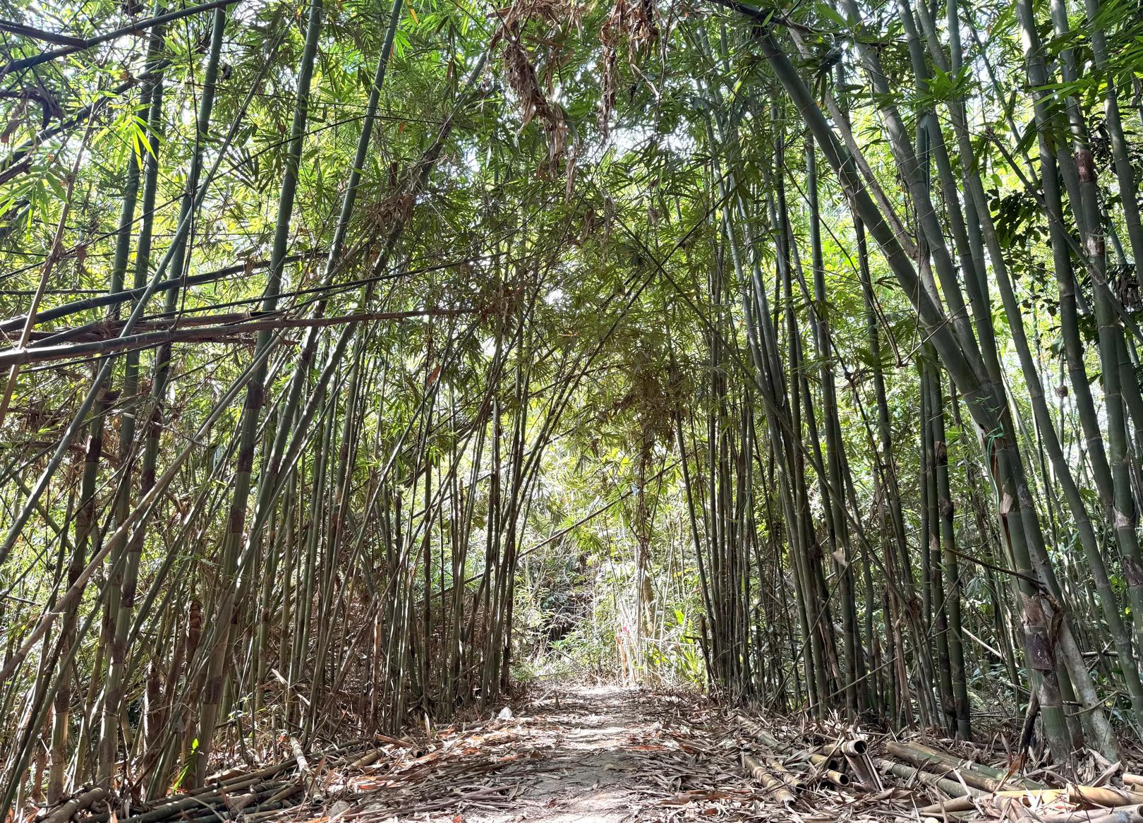 Lubuk Tedung - Image 7