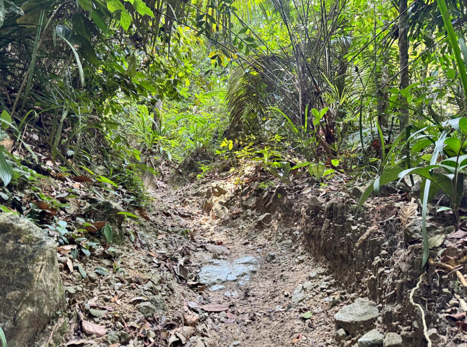 Lubuk Tedung - Image 9