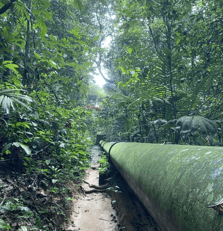 Lepoh Waterfall - Image 3