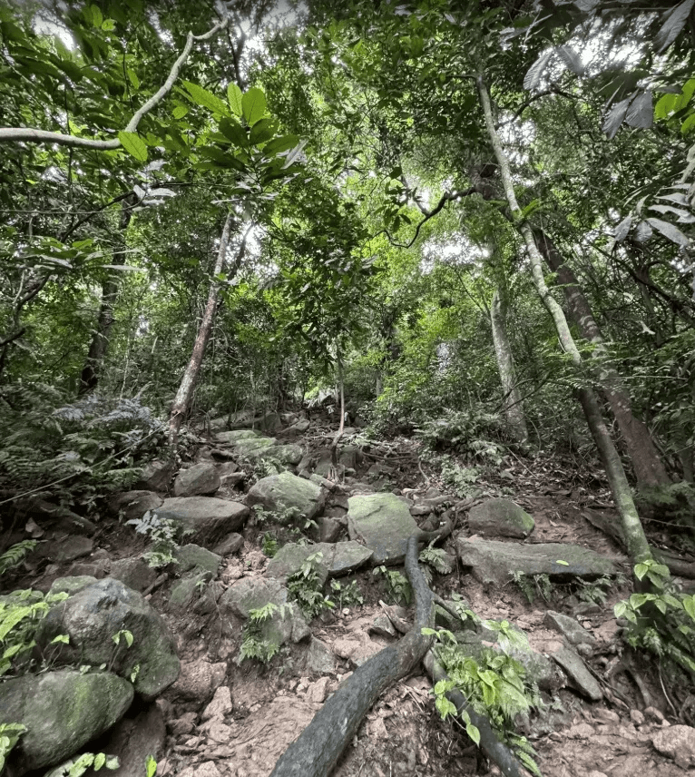 Gunung Datuk - Image 6
