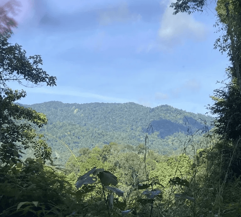 Lata Kijang Waterfall - Image 5