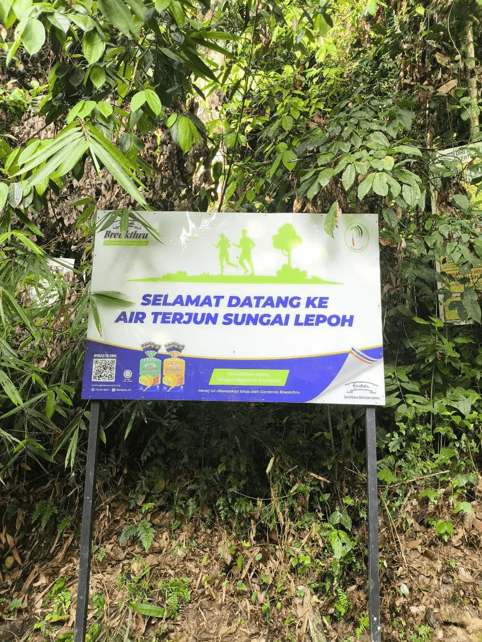 Lepoh Waterfall - Image 6