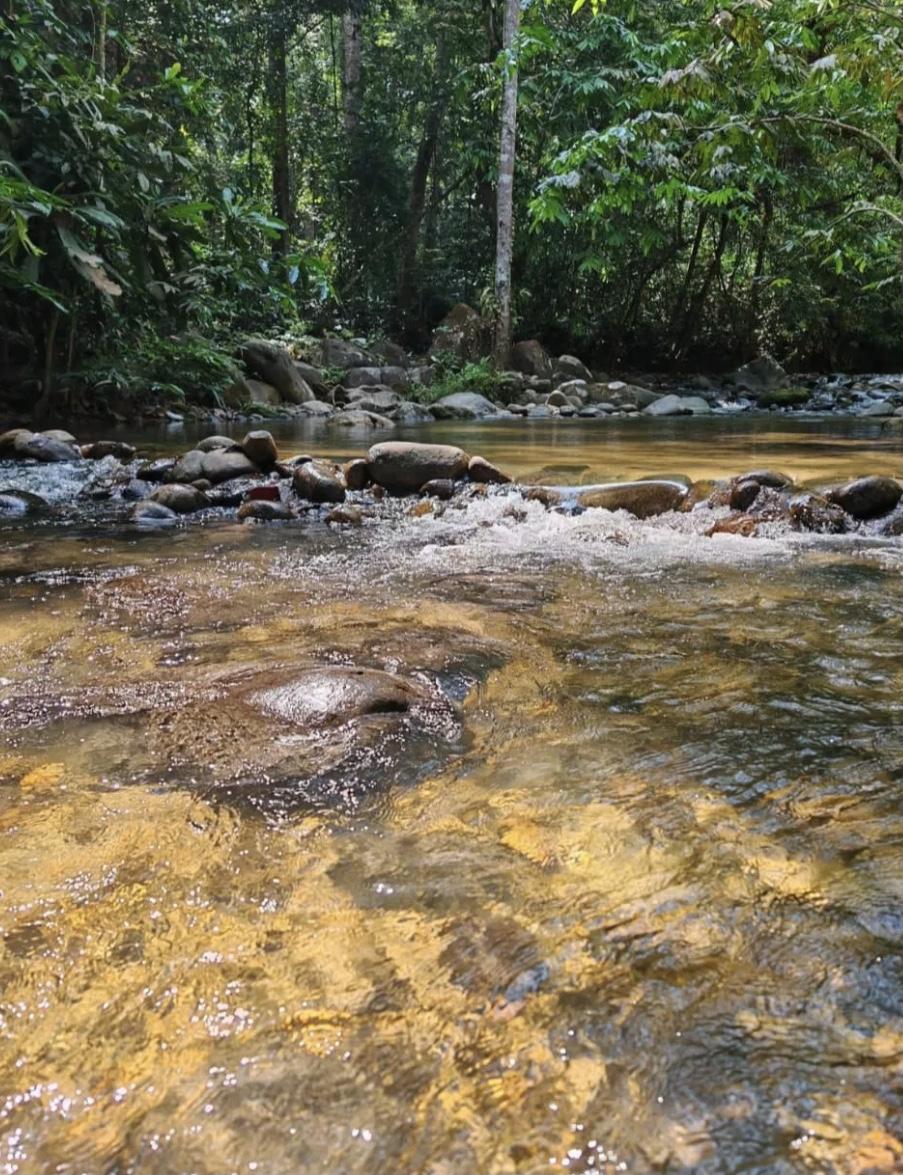 Bukit Chenuang - Image 4