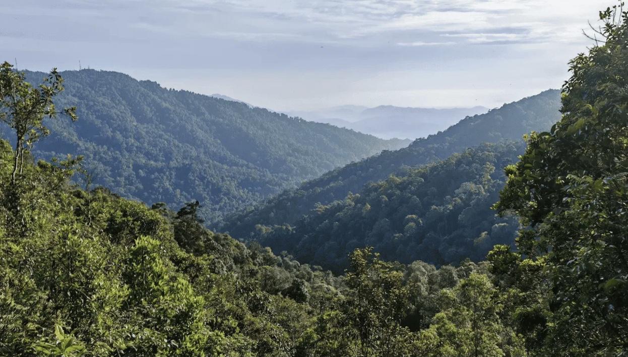 Gunung Gap Gus - Image 2