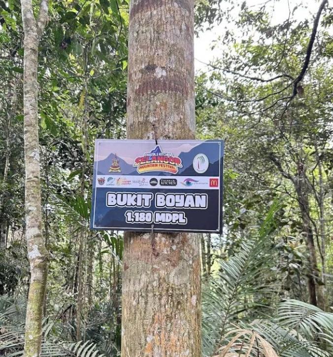 Bukit Boyan - Image 2