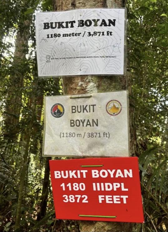 Bukit Boyan - Image 3