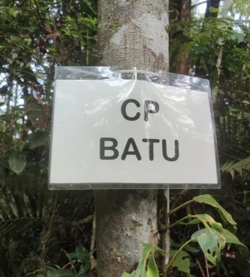 Bukit Boyan - Image 4