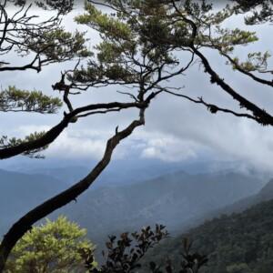 Gunung Rajah via Kuala Kubu Bharu