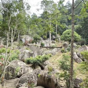 Bukit Baginda