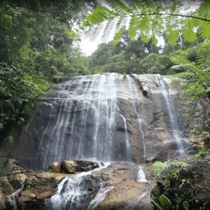 Lata Dinding Waterfall