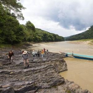 KLIA to Taman Negara (Kuala Tahan) - Rainforest Link (SUV/MPV) TOP