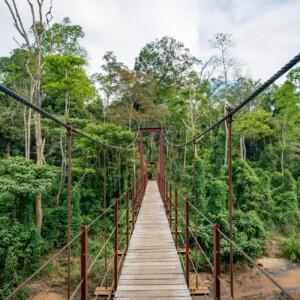 KL to Taman Negara - Rainforest Link (MPV / SUV)