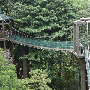 KL Nature and Green Lung - Van Tour (HOT)
