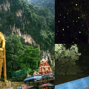 Batu Caves and Kuala Selangor Fireflies (RECOMMENDED)