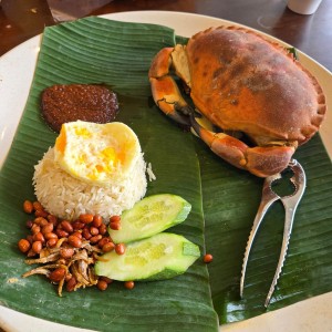 Southern Luxury: Lobster Nasi Lemak and JPO Shopping - SUV Tour (HOT)