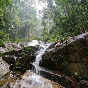 Nature Escape: FRIM and Kanching Waterfall (TRENDY)