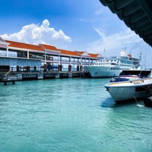 Premium Group Cruise Shore Excursion (Van - 6 to 10 Pax)